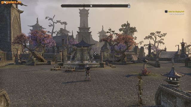 The Elder Scrolls Online