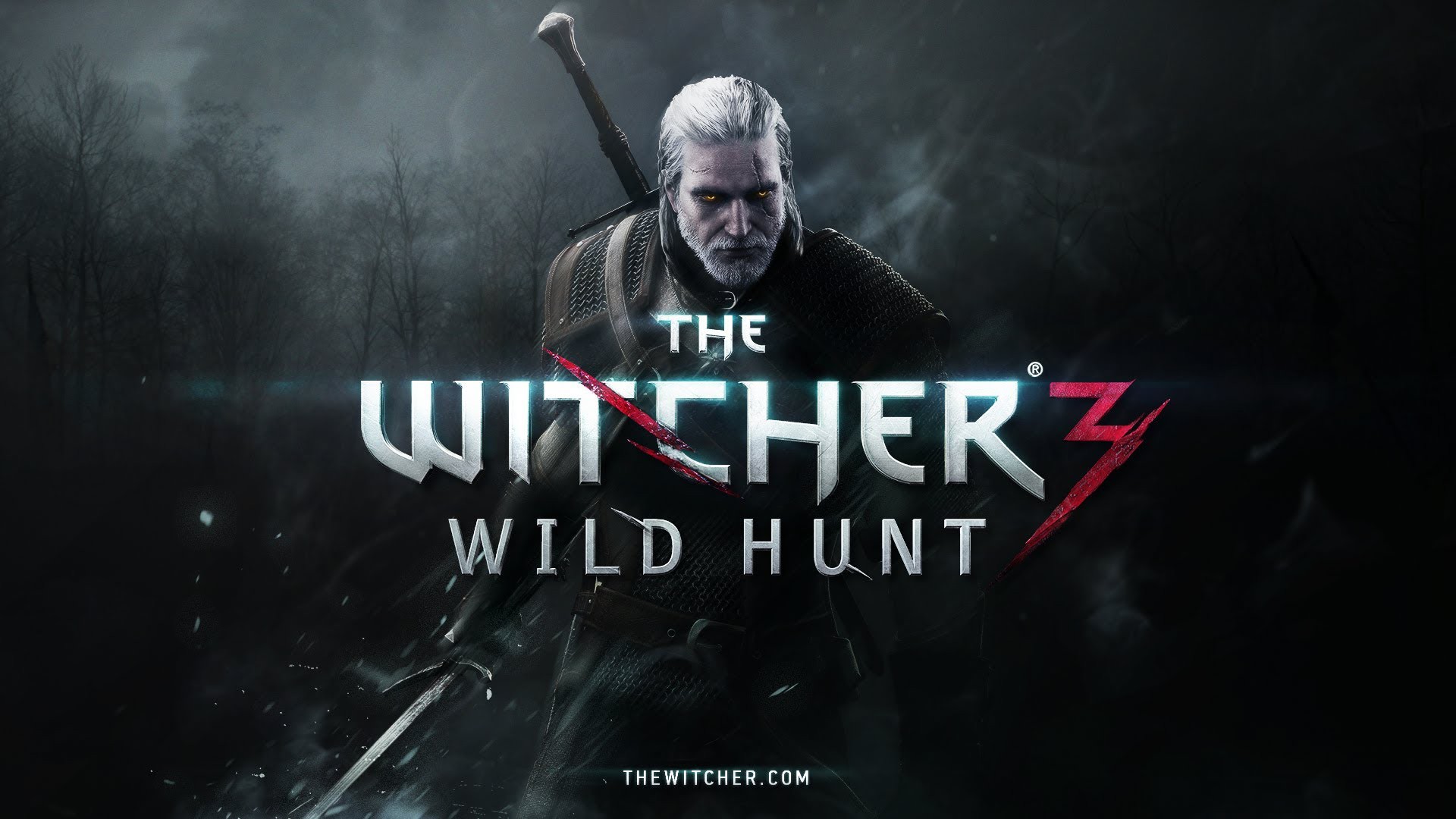 The Witcher 3 Wild Hunt