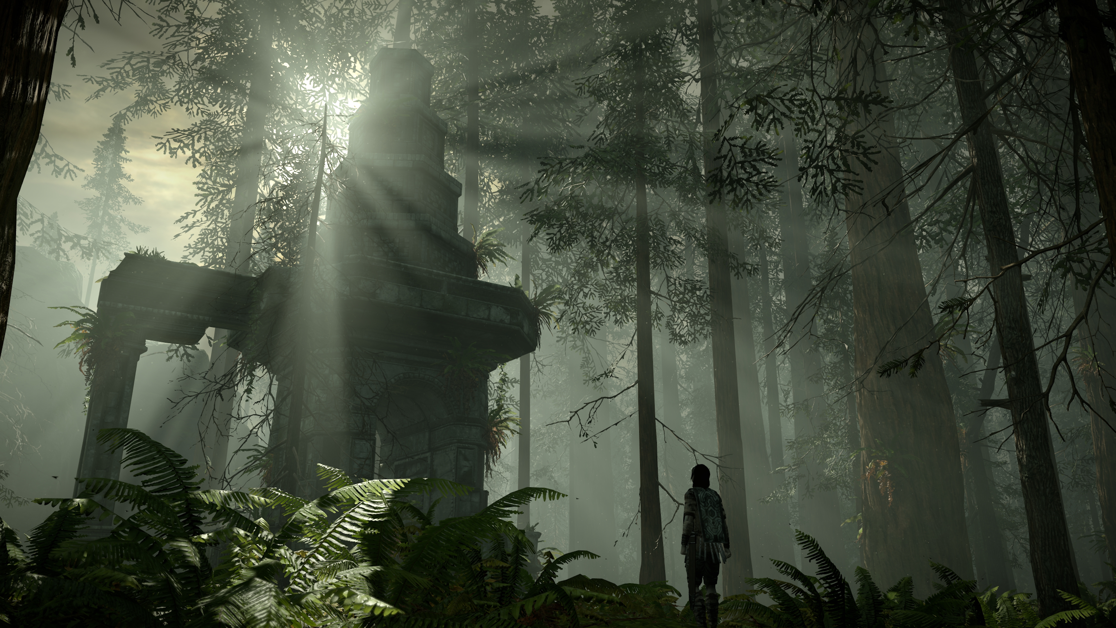 Shadow of The Colossus
