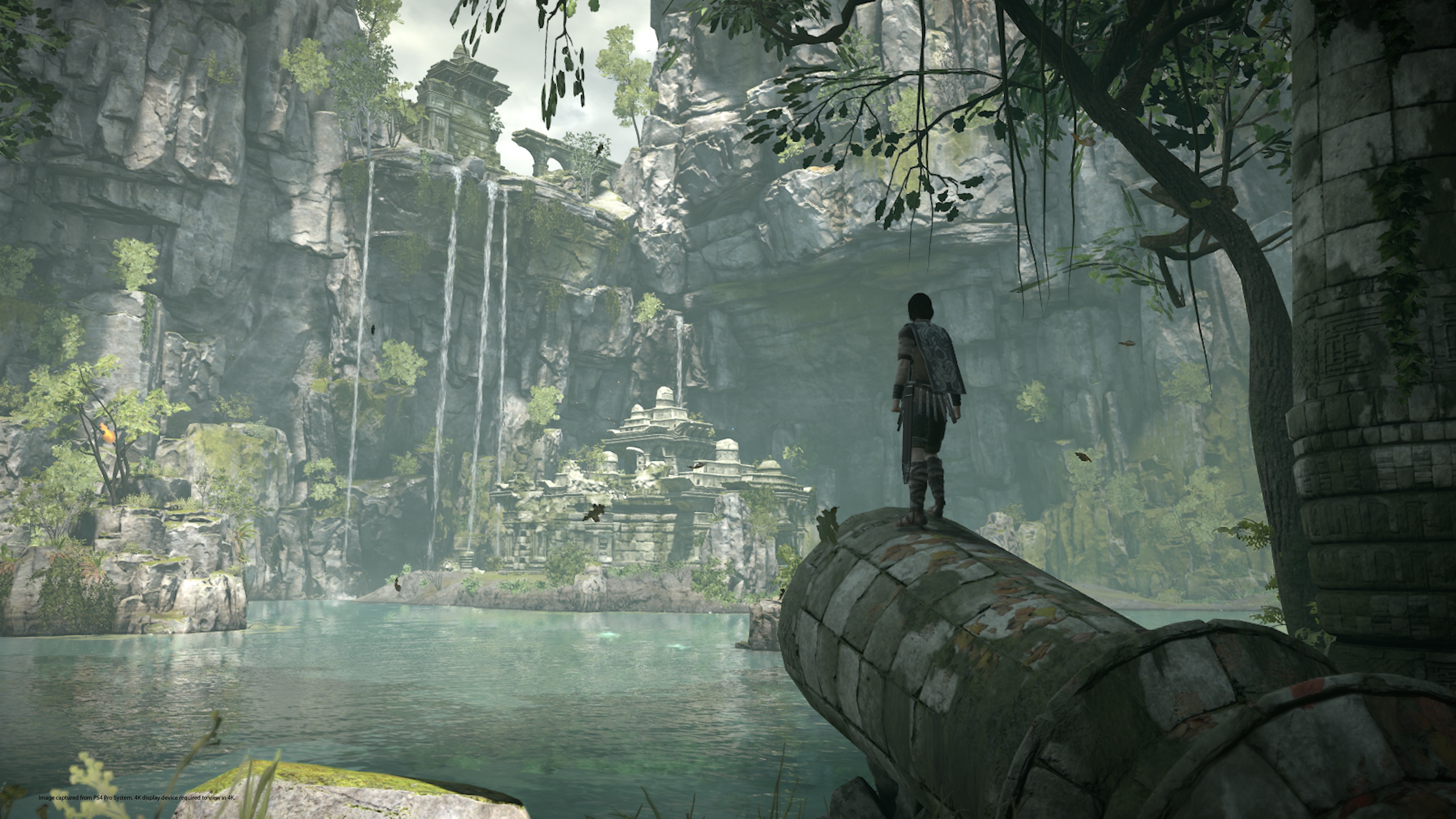 Shadow of The Colossus